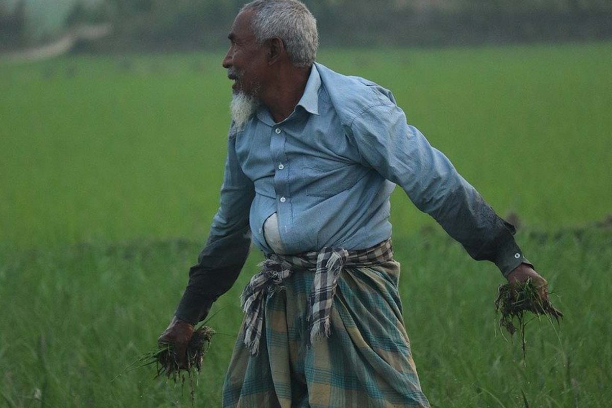 Mavog, Mavog Connection, Fichtenreizker, Chinesisches Spaltkörbchen, Kapstachelbeere, Papaya, Erdmandel, Netzannone, Birkensaft, Fäberdistel, Bockshornklee, Katzenbart, Thailändisches Pfefferblatt, Kletterbaum, Fabaceae, Sappanholzbaum, Sandsegge, Anaxagorea, Birke, Kletterliane. Honig der Schwarzen Biene ohne Stachel, strauchartige Krautart, Entzündungen, Rheuma, Tennisarm, Gliederschmerzen, Hautbild, Schuppenflechte, Heuschnupfen, Migräne, Mai Thai, Kräuter, Kräutermischung, Kräutermischungen, Vitamin B, Vitamin E, Vitamin C, Cholin, thailändische Kräutermischung, natürliche Zutaten, Kräuterpresslinge, Feichtinger, Feichtinger AG, Sennwald, Blog, News,